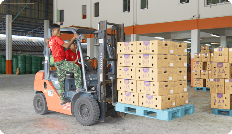 โรงคัดบรรจุ